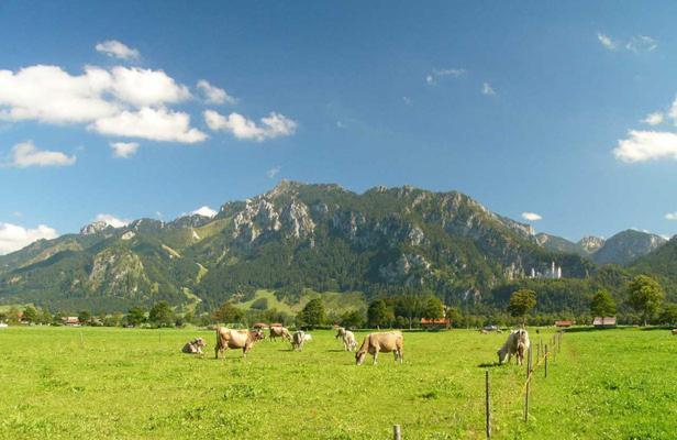 Jaegerhof Und Jaegerstadel Швангау Екстер'єр фото